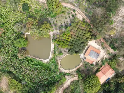 Fazenda/Sítio com 2 Quartos à venda, 21000m² no Ravenópolis (Ravena), Sabará