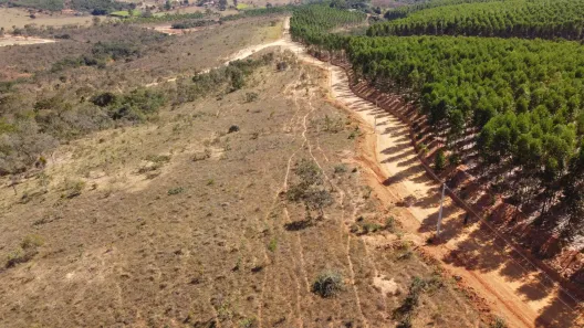 Lote/Terreno à venda, 21515m² no Lagoa Bonita, Cordisburgo