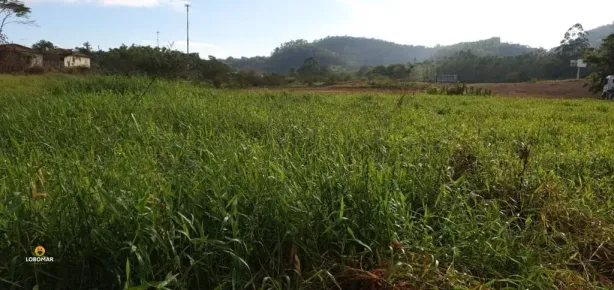 Fazenda/Sítio à venda, 72513m² no Centro, Araquari
