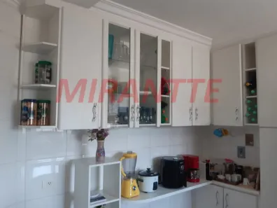 Apartamento com 3 Quartos para alugar, 118m² no Vila Paulicéia, São Paulo