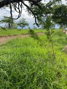 Lote/Terreno à venda, 22793m² no , Jaboticatubas