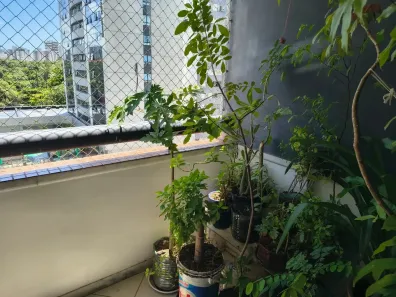 Apartamento com 3 Quartos à venda, 100m² no Stiep, Salvador
