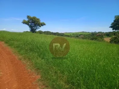 Fazenda/Sítio com 3 Quartos à venda, 16m² no , Uraí