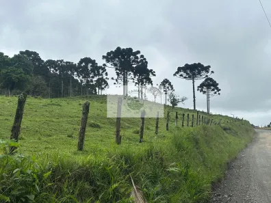 Fazenda/Sítio com 1 Quarto à venda, 121495m² no , Campo Alegre