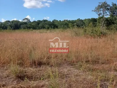 Fazenda/Sítio à venda, 500m² no , Almas