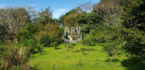 Fazenda/Sítio com 10 Quartos à venda, 580m² no Santa Tecla (Ipiranga), Gravataí