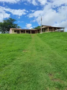 Fazenda/Sítio com 3 Quartos à venda, 2050000m² no , Bom Jesus