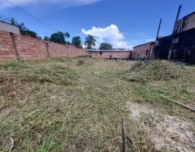 Lote/Terreno à venda, 440m² no Novo Aleixo, Manaus