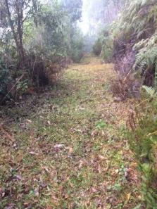 Fazenda/Sítio à venda, 100000m² no , Botuverá