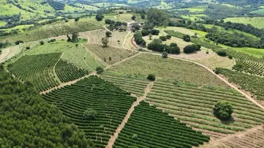 Fazenda/Sítio com 10 Quartos à venda, 1331000m² no , São Sebastião do Paraíso