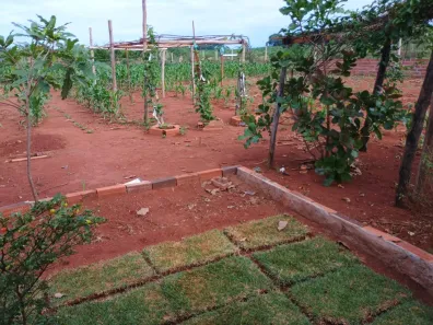 Fazenda/Sítio à venda, 2000m² no , Caturaí