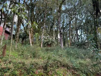 Lote/Terreno à venda, 766m² no Caracol, Canela