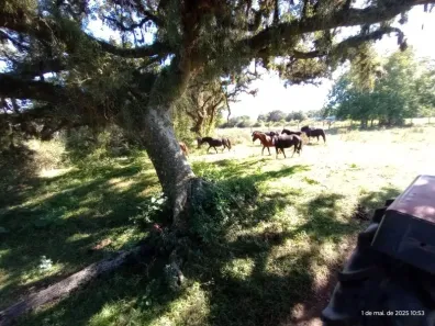 Lote/Terreno à venda, 100000m² no Lami, Porto Alegre