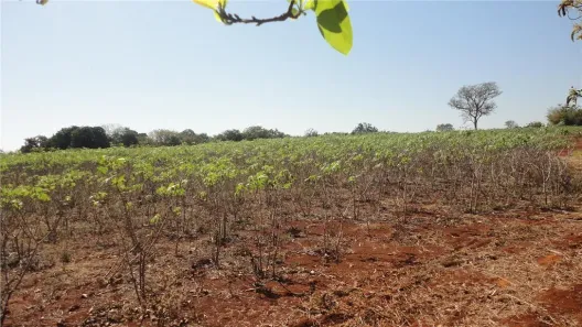 Lote/Terreno à venda, 213800m² no Betel, Paulínia