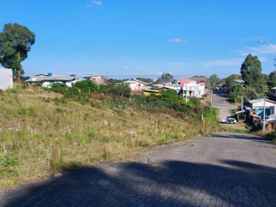 Lote/Terreno à venda, 2531m² no São Ciro, Caxias do Sul