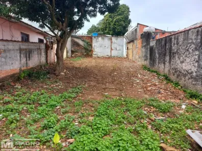 Lote/Terreno para alugar, 250m² no São Miguel Paulista, São Paulo