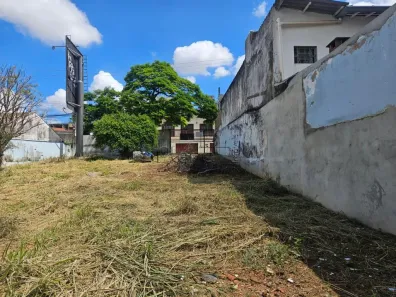 Lote/Terreno para alugar, 367m² no Jardim do Trevo, Campinas