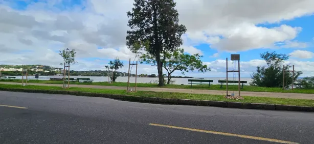 Casa com 12 Quartos para alugar, 200m² no Vila Assunção, Porto Alegre
