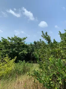 Lote/Terreno à venda, 3354m² no Pipa, Tibau do Sul