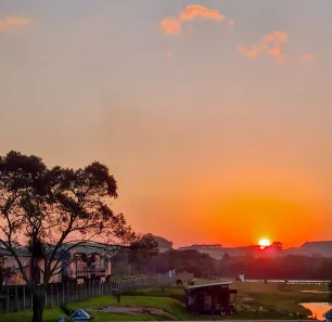 Fazenda/Sítio com 3 Quartos à venda, 11000m² no Guajuvira, Araucária