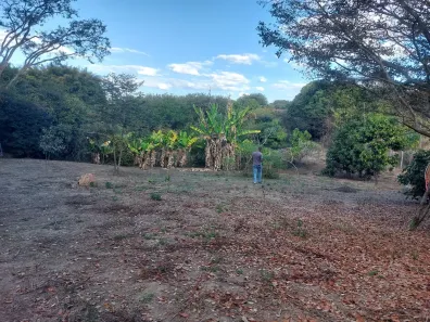 Lote/Terreno à venda, 5000m² no , Pedro Leopoldo