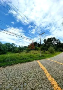 Lote/Terreno à venda, 4973m² no Paisagem Renoir, Cotia