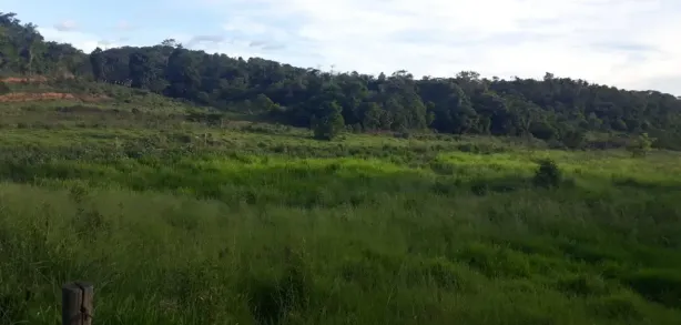 Fazenda/Sítio à venda, 4382000m² no , Frei Gaspar