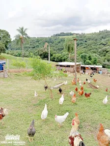 Fazenda/Sítio à venda, 24m² no , Carambeí