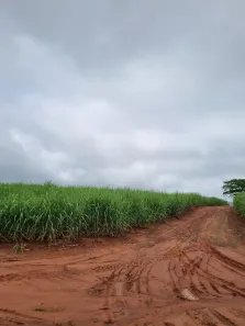 Fazenda/Sítio à venda, 1018822m² no Centro, Araçatuba