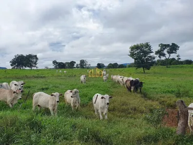 Fazenda/Sítio com 4 Quartos à venda, 4120000m² no , Dom Aquino