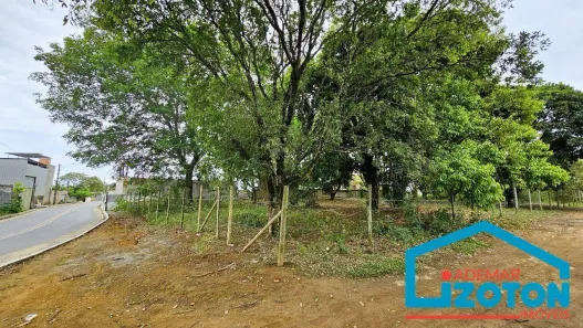 Fazenda/Sítio à venda, 1958m² no Alzira Ramos, Cariacica