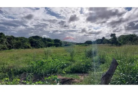Lote/Terreno à venda, 3000m² no Taborda, São José de Mipibu
