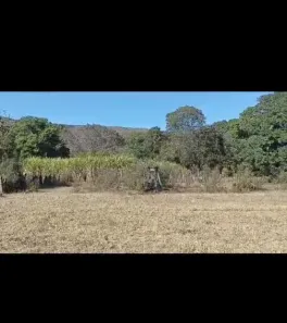 Fazenda/Sítio à venda no , Arinos