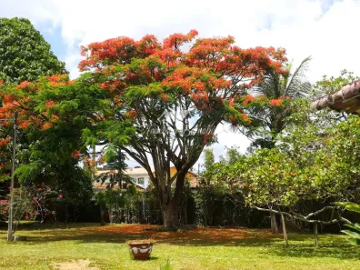 Fazenda/Sítio com 3 Quartos à venda, 2400m² no Aldeia dos Camarás, Camaragibe