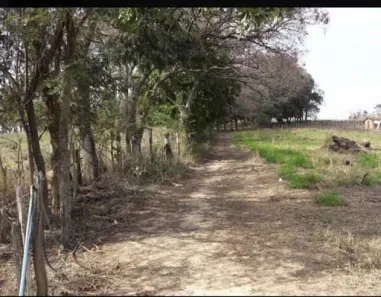 Lote/Terreno à venda, 5000m² no Traviú, Jundiaí