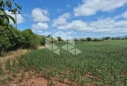 Fazenda/Sítio à venda, 231600m² no , Santa Maria