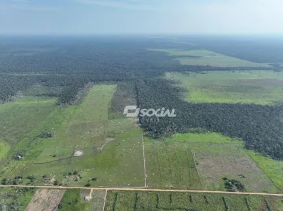 Fazenda/Sítio com 2 Quartos à venda, 900000m² no Porto Velho, Porto Velho