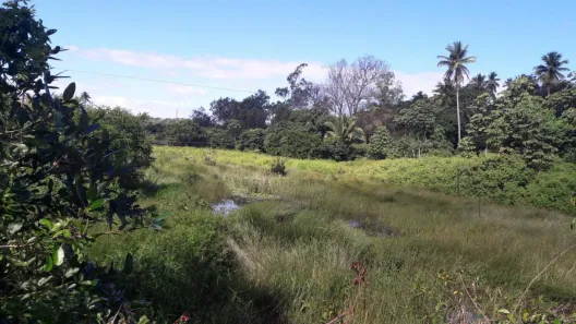 Fazenda/Sítio à venda, 650000m² no Monte Gordo (Monte Gordo), Camaçari
