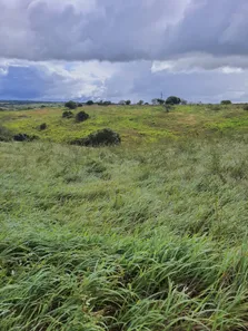 Fazenda/Sítio com 3 Quartos à venda, 200000m² no , Monte Alegre