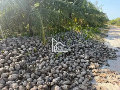 Fazenda/Sítio com 5 Quartos à venda, 89000m² no , Touros