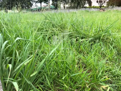 Lote/Terreno à venda, 560m² no Centro, Cascavel