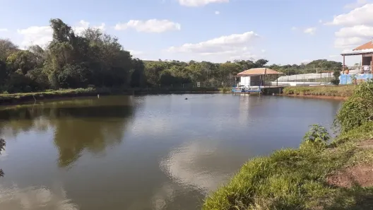 Fazenda/Sítio com 5 Quartos à venda, 24200m² no , Santo Antônio da Alegria