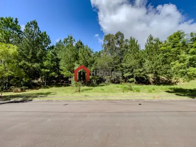 Lote/Terreno à venda, 1000m² no Santa Isabel, Viamão