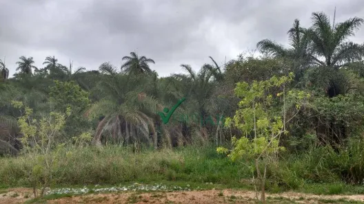 Lote/Terreno à venda, 3030m² no Vale do Tamanduá, Santa Luzia