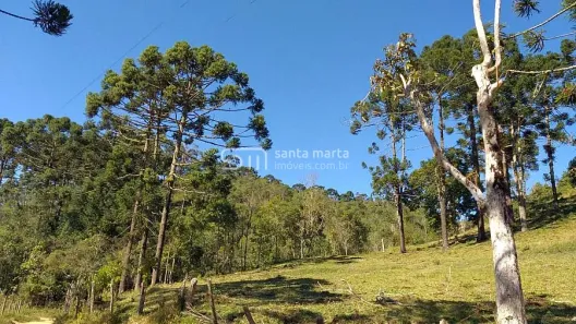 Fazenda/Sítio à venda, 78400m² no , São José do Barreiro