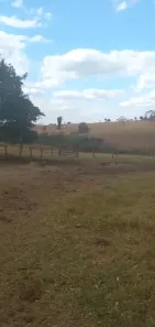 Fazenda/Sítio à venda no Itapuranga, Itapuranga