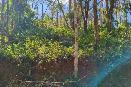 Lote/Terreno à venda, 125m² no Jundiaizinho (Terra Preta), Mairiporã