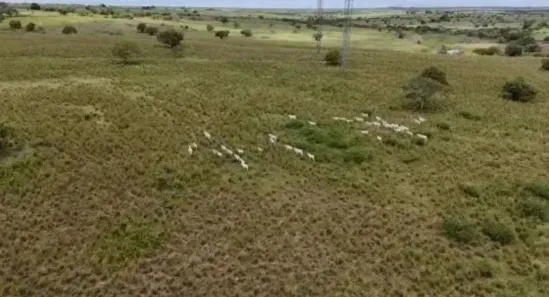 Fazenda/Sítio com 5 Quartos à venda, 3410000m² no , Macaíba