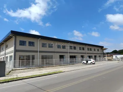 Apartamento com 2 Quartos para alugar, 60m² no Timbu, Campina Grande do Sul