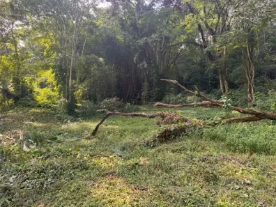 Lote/Terreno à venda, 2100m² no Muriqui, Niterói
